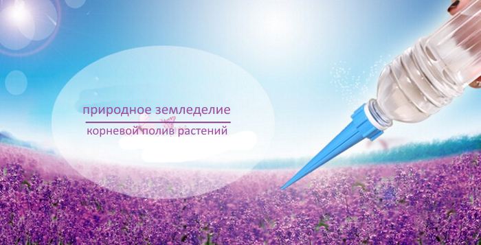 корневой полив растений