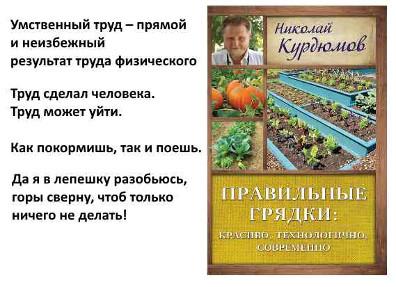 мысли Курдюмова