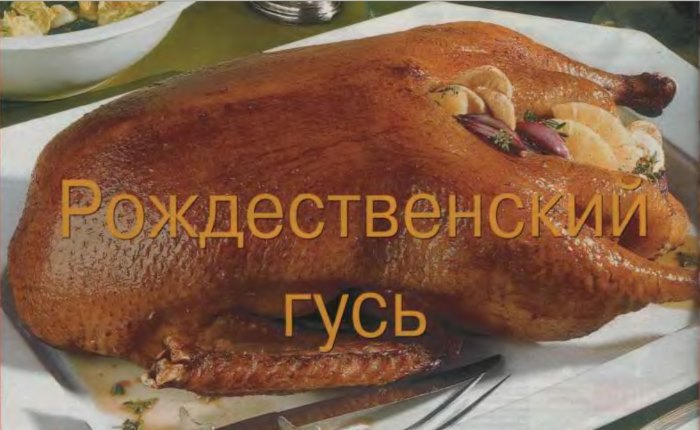 рождественский гусь - журнал Лиза
