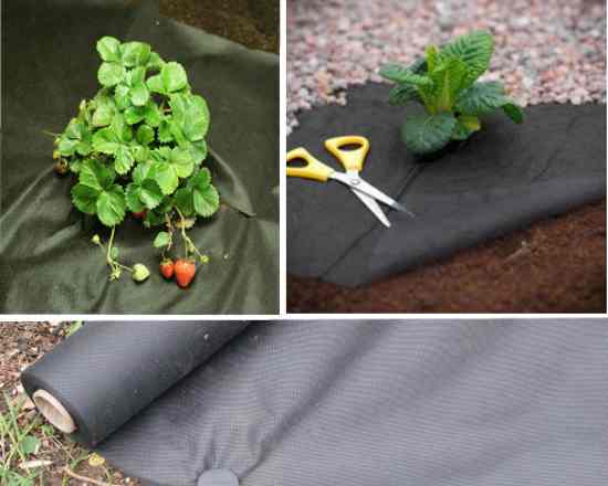 мульчирование