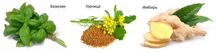 базилик, горчица, имбирь