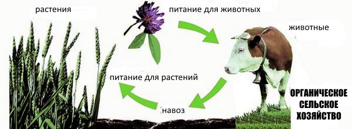 органическое сельское хозяйство