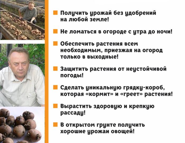 Минимум работы, максимум урожая! Метод Игоря Лядова для любой почвы