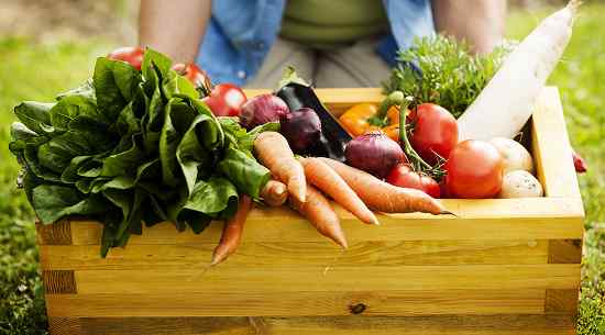 принцип экологии