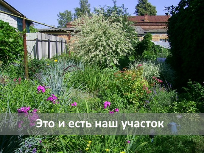 приусадебный участок