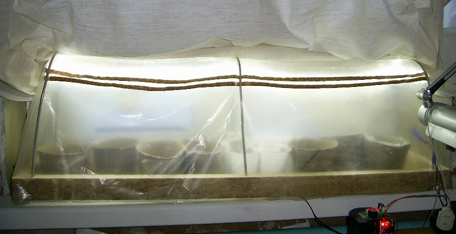 Теплица на подоконнике