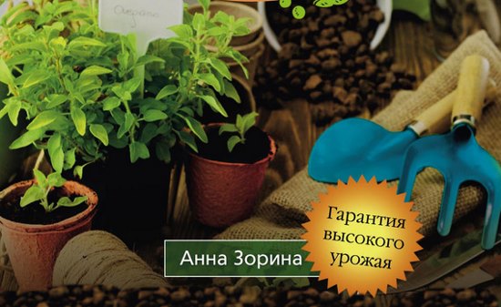 крепкая и здоровая рассада