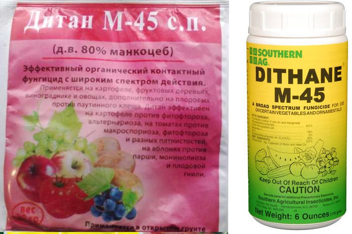 Дитан М-45 против фитофторы