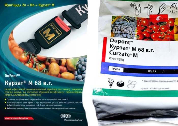 Курзат М против фитофторы
