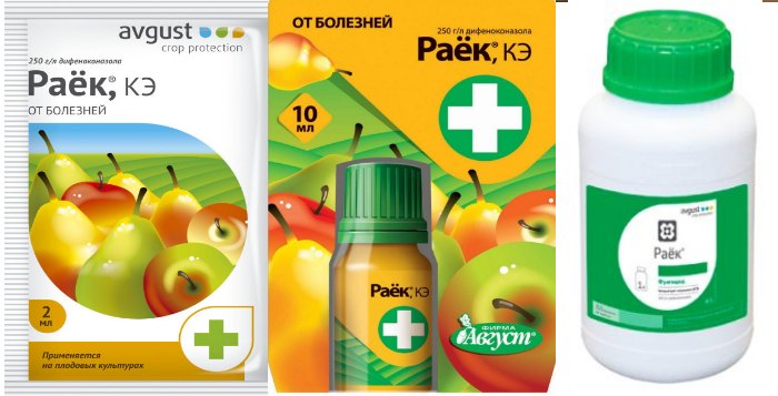 Раек против фитофторы