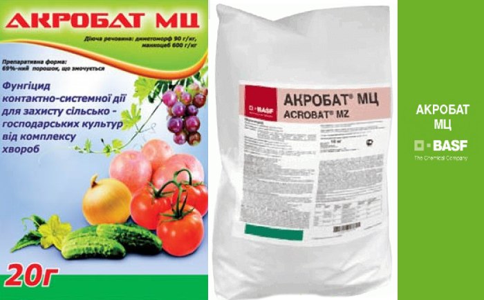 Акробат МЦ против фитофторы