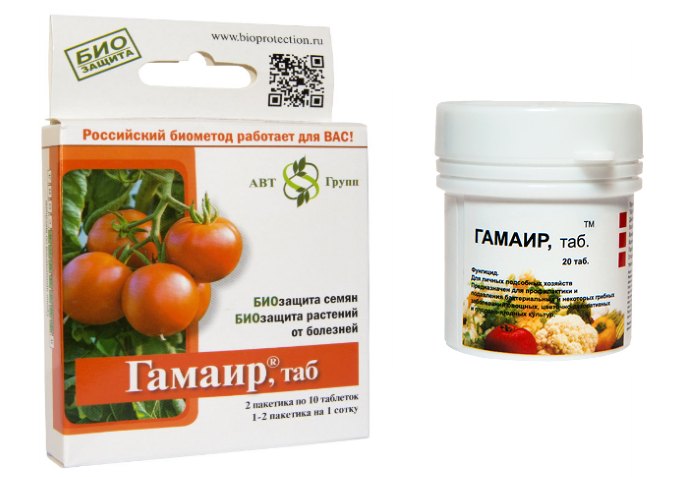 Гамаир против фитофторы