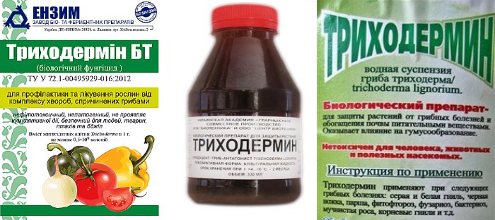 Триходермин против фитофторы