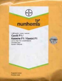 Эксперимент с кабачком. Подделка или нет?