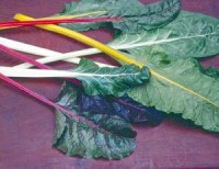 Мангольд - свекла наоборот