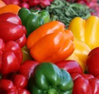 Выращивание сладкого перца