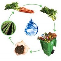 Принцип пятый. Соблюдение природного триединства влаги, тепла и воздушного питания