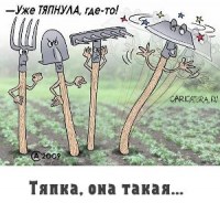 Ваша помощница – тяпка