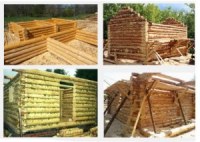 Строительство сруба дома из бревна