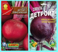 Свекла сорта &quot;Детройт&quot;
