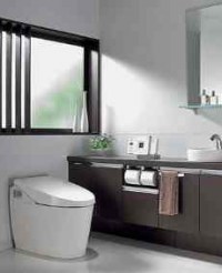 О выборе унитаза