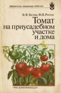 Томат на приусадебном участке и дома
