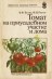Томат на приусадебном участке и дома